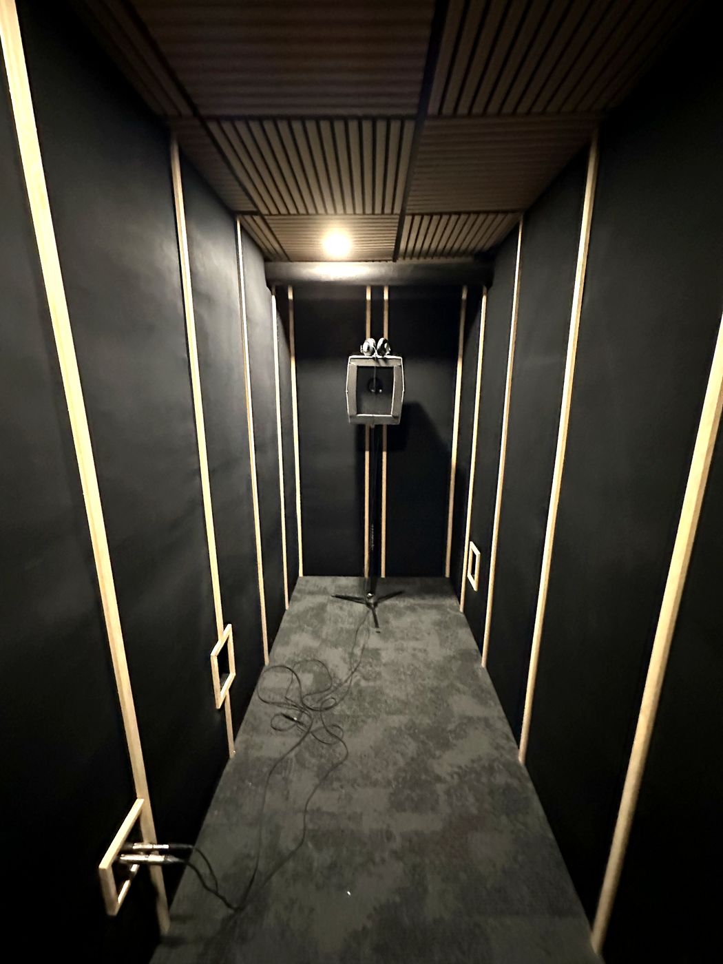 The isolation booth: a long, narrow room with black acoustic walls, a carpeted floor and a microphone on a stand at the far end.